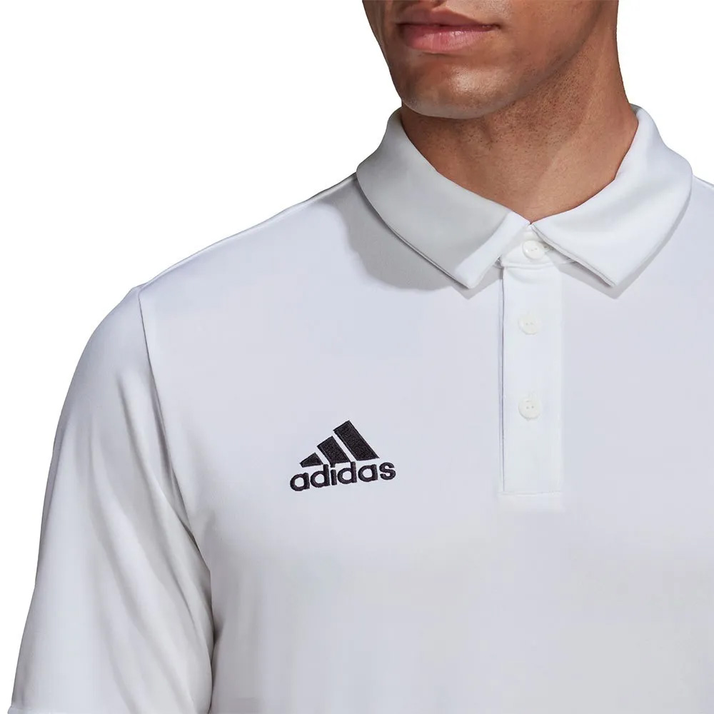 Adidas Entrada 22 polo shirt | Polyester recyclé | Avec boutons