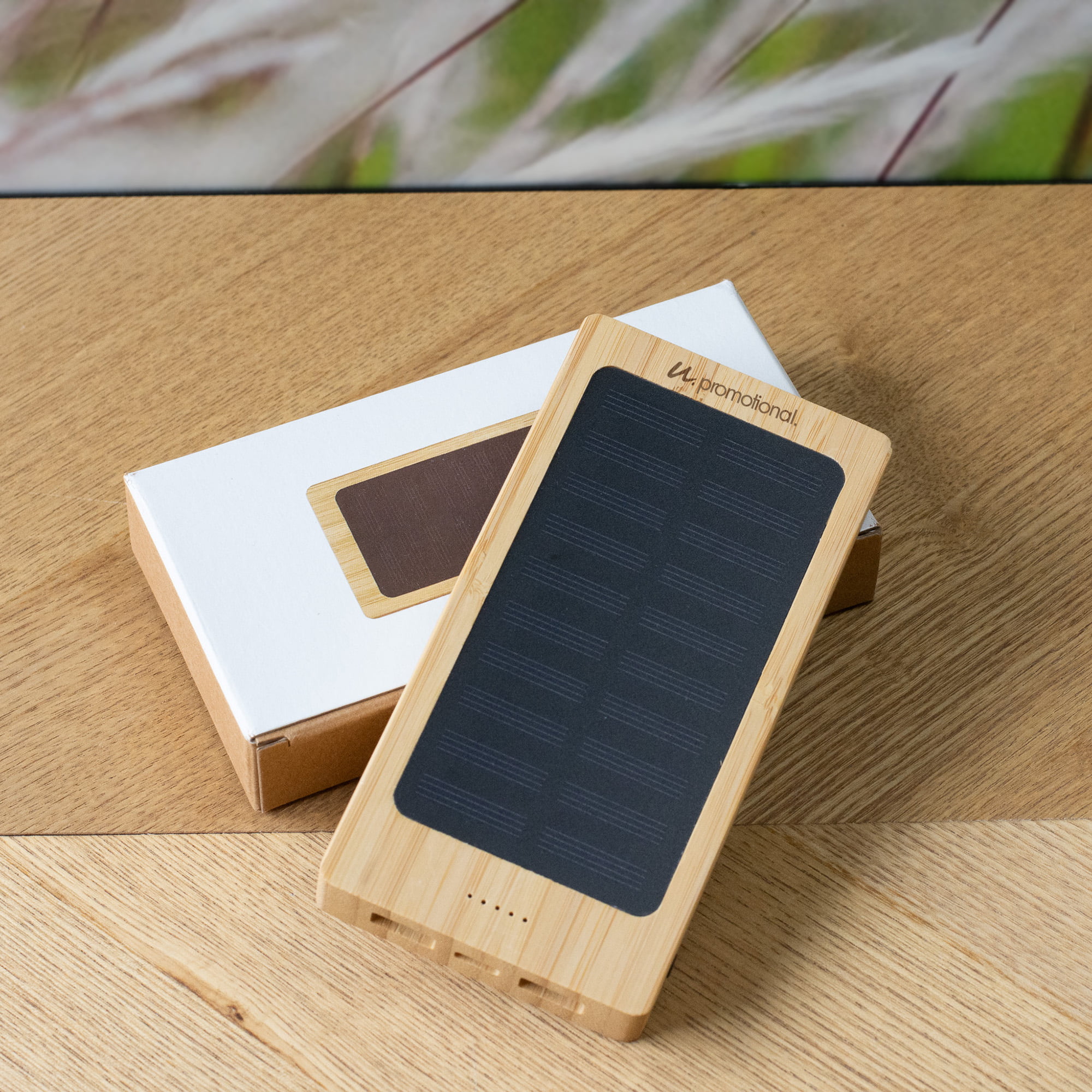 Banca solare - 8000 mAh | Bambù | Doppia uscita USB