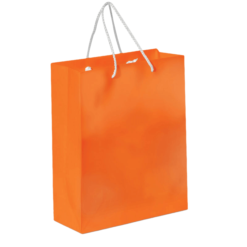 Sac en papier brillant - A4 | 200 g/m² | Résistant à l'eau