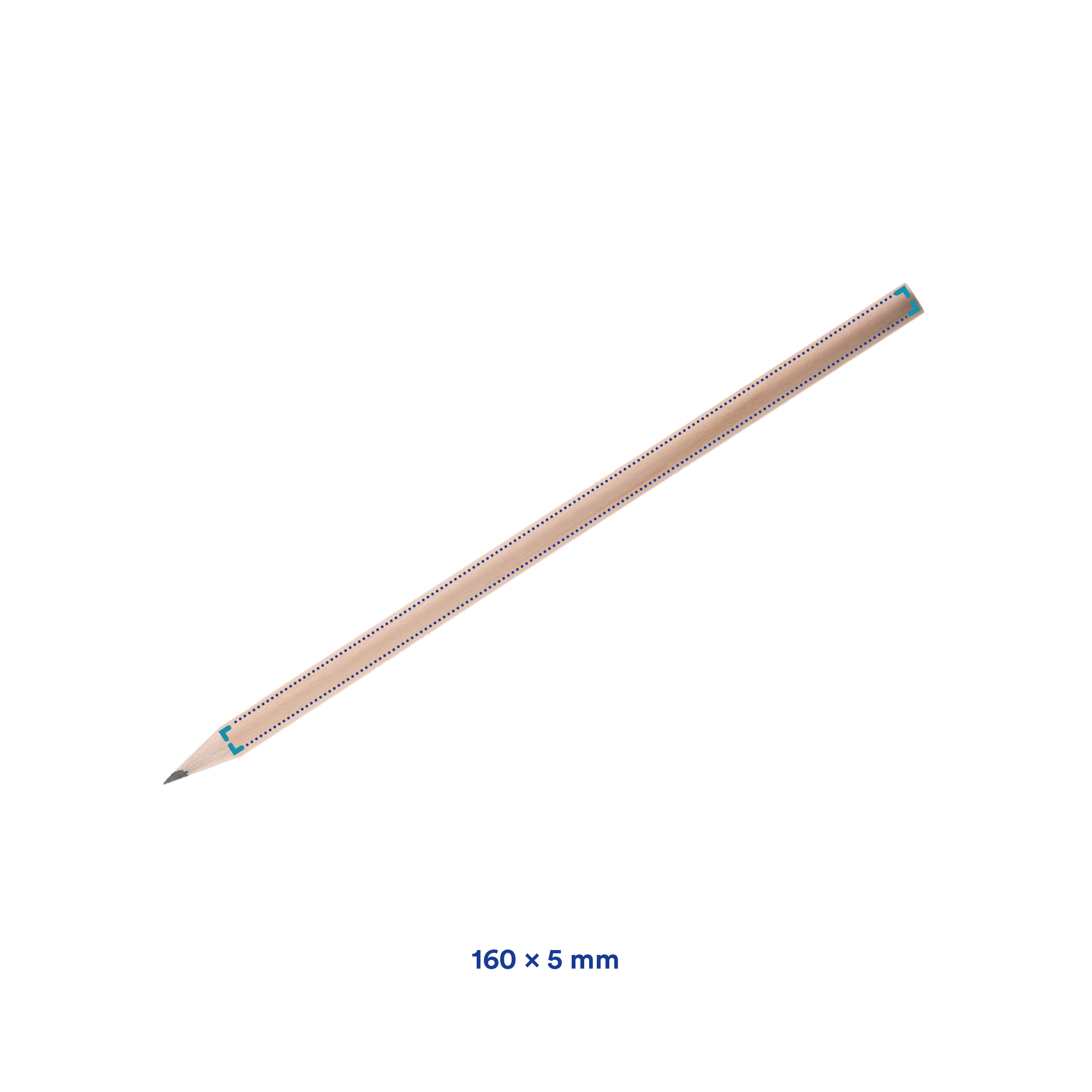Potlood Bas - Geslepen | Biologisch FSC | 1-4 kleuren & Full Colour