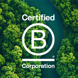 b-corp-teaser-image