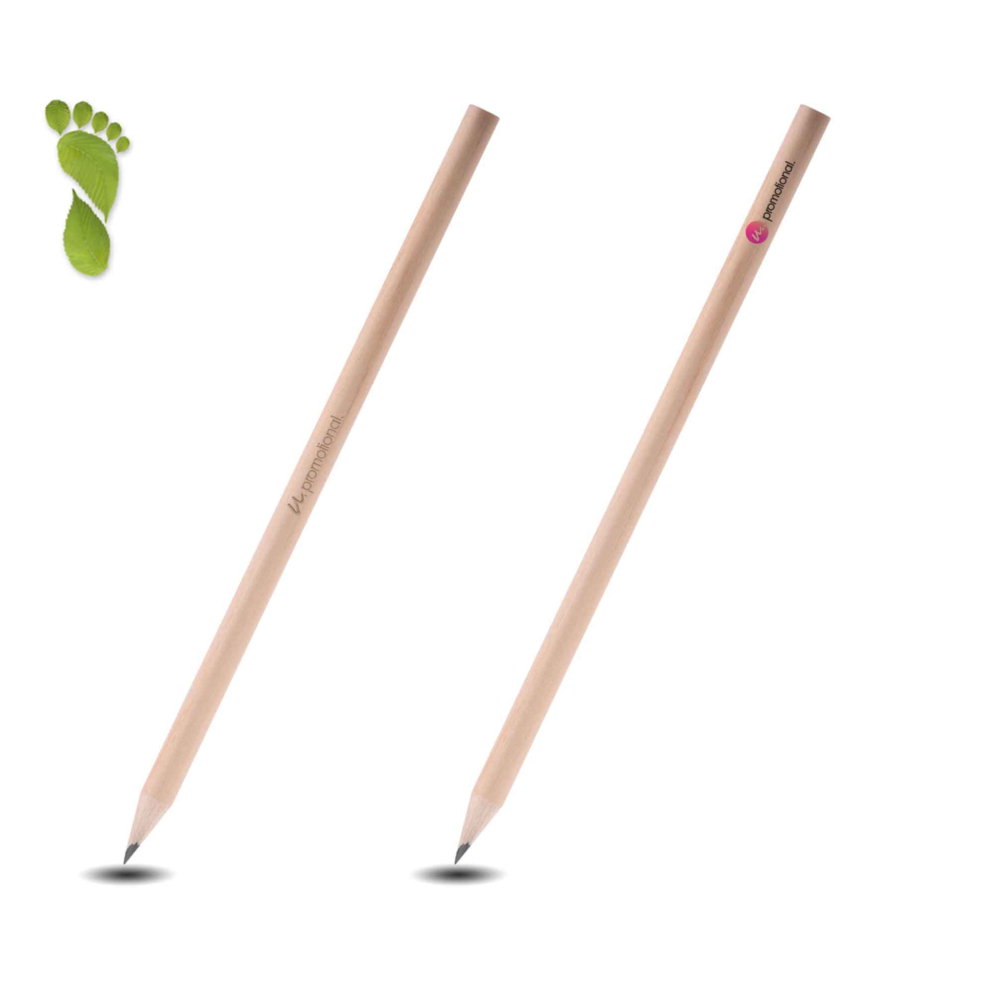 Crayon taillé | Respectueux de l'environnement FSC | Quadrichromie