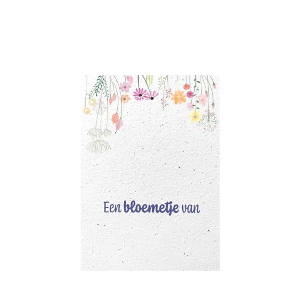 Samenpapier Fleur - A6 | Luxus Qualität | 250 g/m² | Vollfarbe