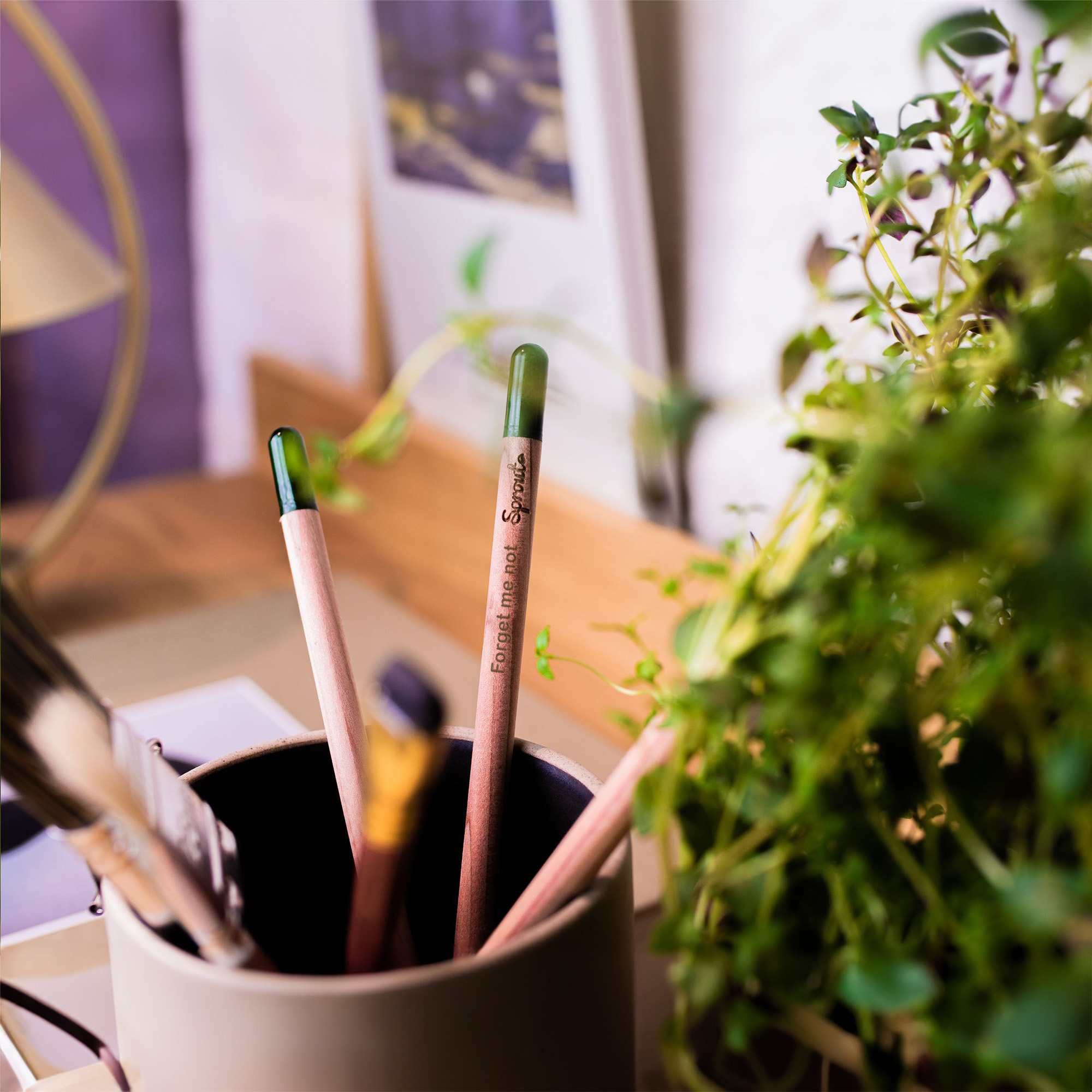 SPROUT Bleistift | FSC-zertifiziert | Pflanzbar