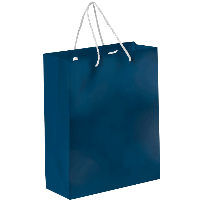 Sac en papier brillant - A4 | 200 g/m² | Résistant à l'eau