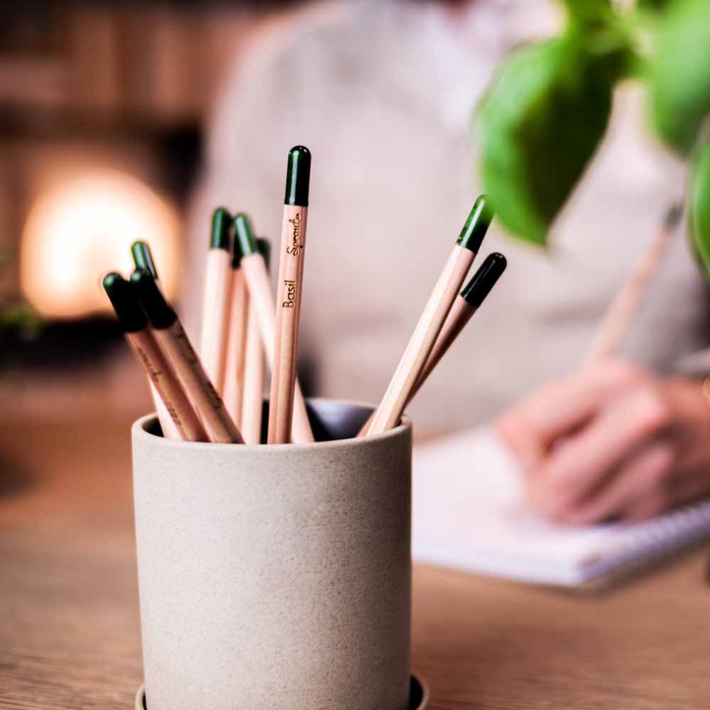 SPROUT Bleistift | FSC-zertifiziert | Pflanzbar