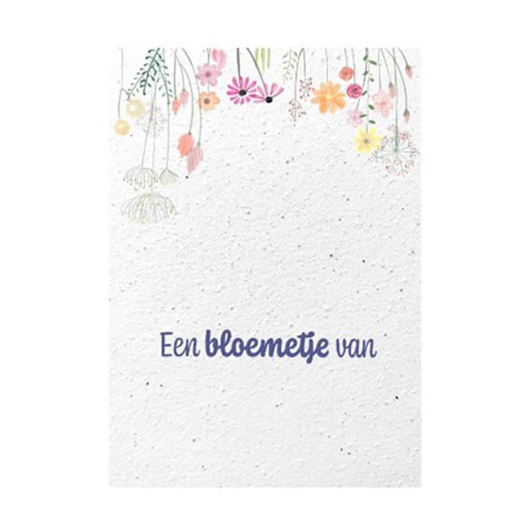 Samenpapier Fleur - A4 | Duits: Luxus Qualität | 250 g/m² | Vollfarbe
