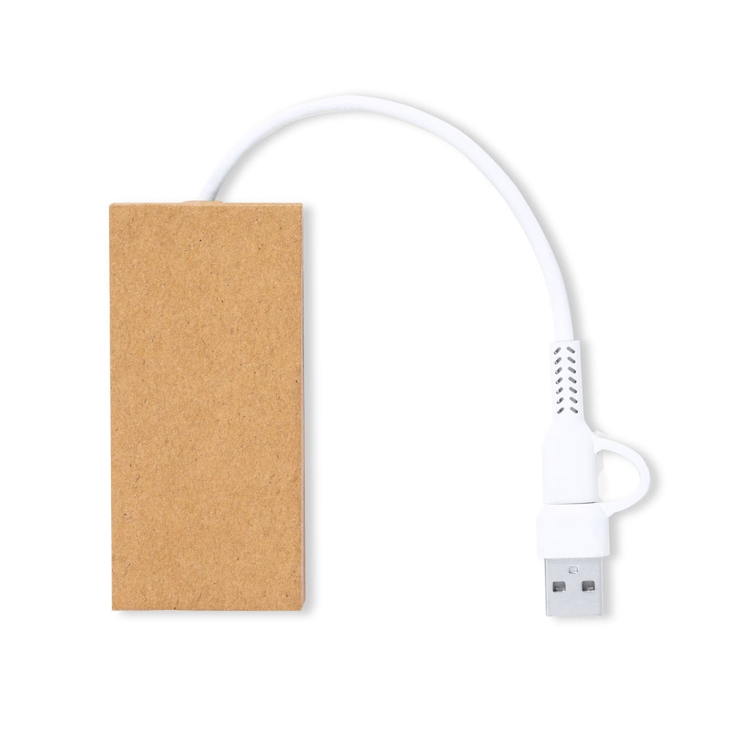 USB hub Han - Gerecycled karton | 2 USB-poorten | Full Colour