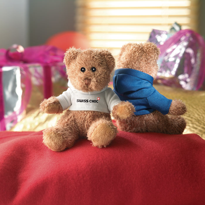 Teddybeer - PET | Met sweatshirt | Diverse kleuren