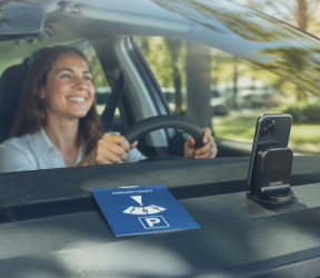 Dashboard essentials small
