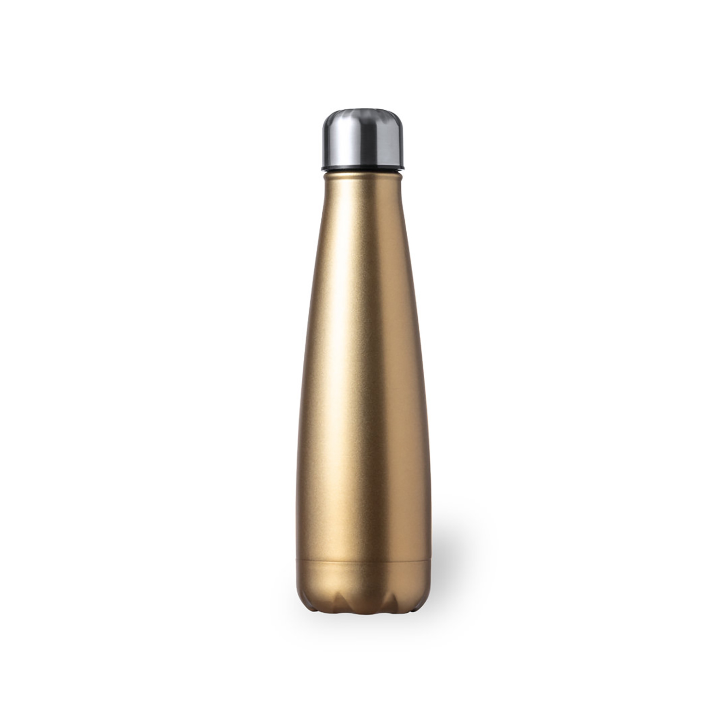 Waterfles Theo - 630 ml | Roestvrij staal | Lekvrij