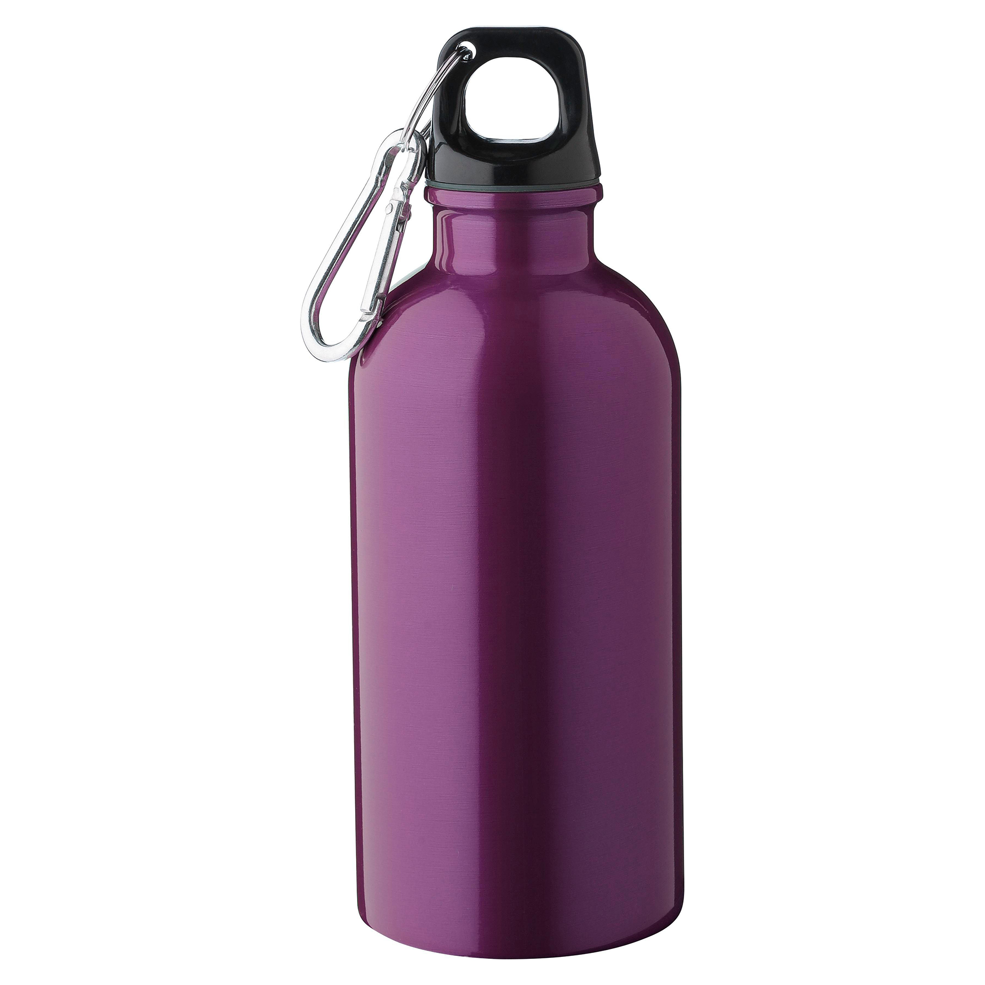 Gerecyclede Drinkfles Daan - 400 ml | Karabijnhaak | RVS