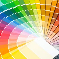 which-colour-fits-my-logo-overview