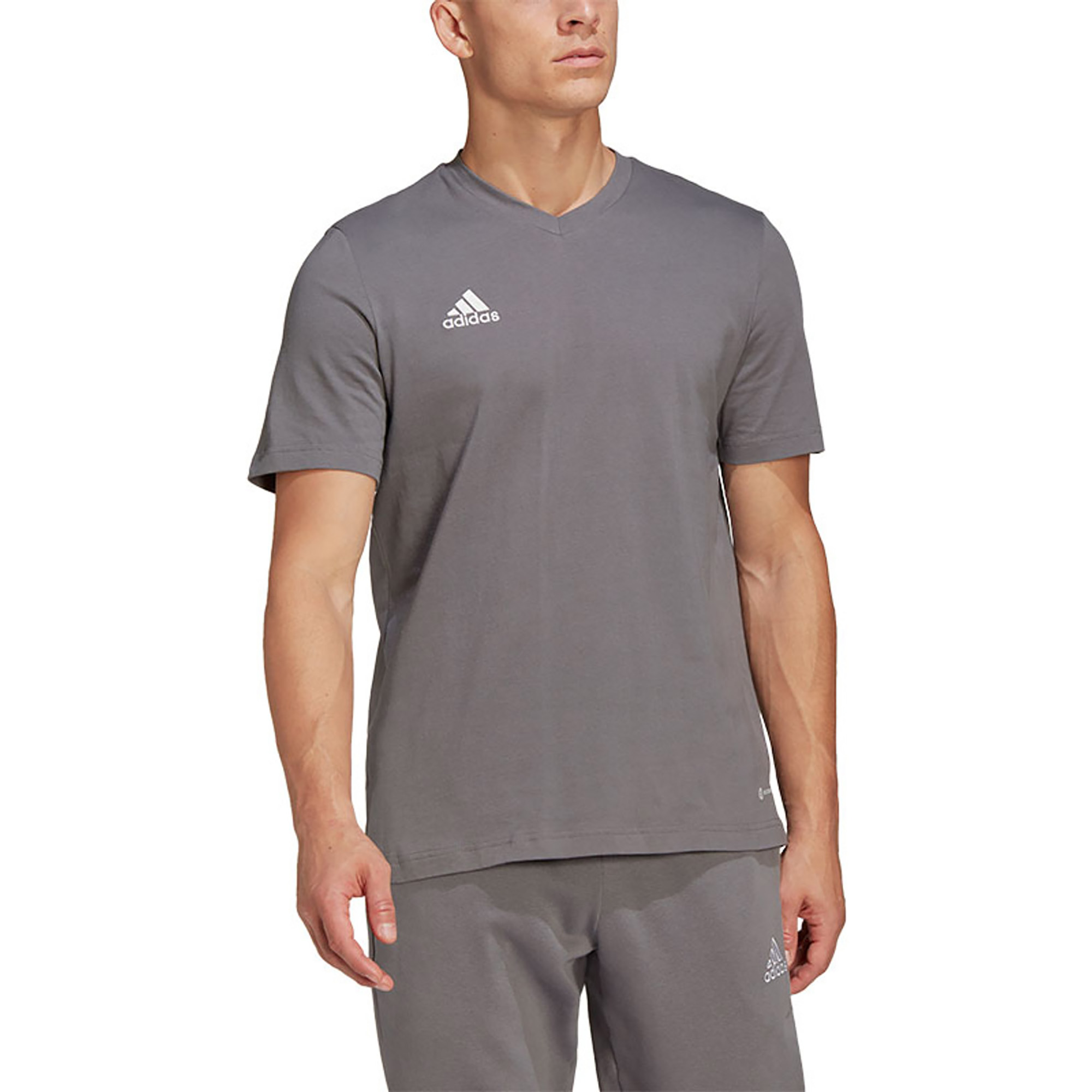 Adidas T-shirt - Entrada 22 | Unisex | Katoen | Regular Fit
