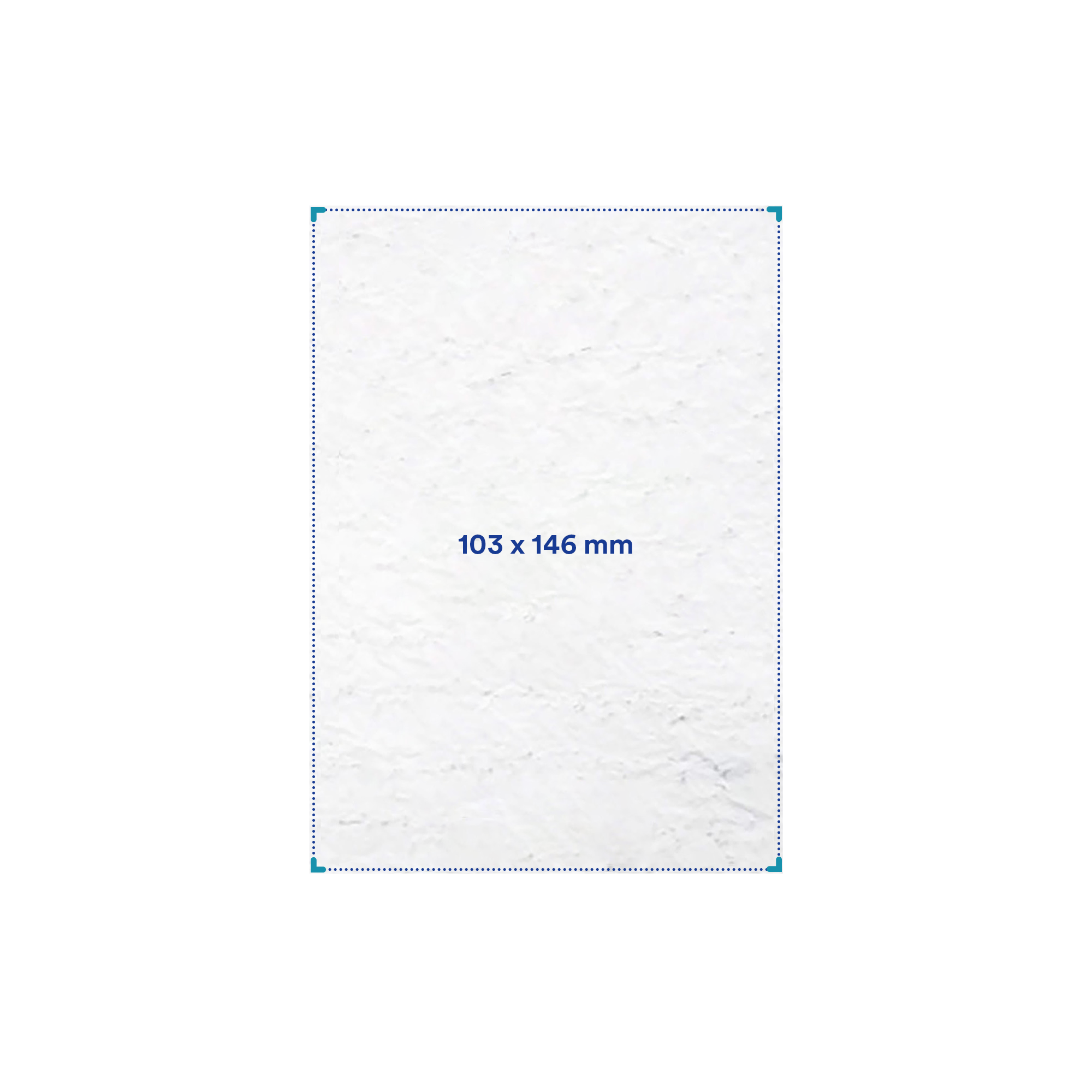 Carta seminabile – Formato A6 | 120 g/m² | Quadrichromia