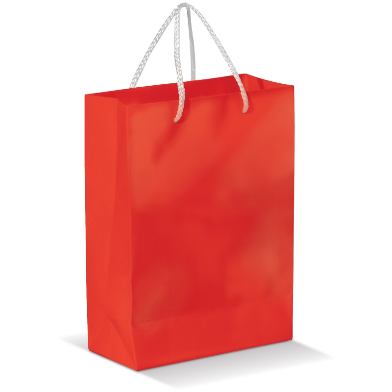 Sac en papier brillant | >A4 | Qualité premium | Jusqu'à 2 couleurs d'impression