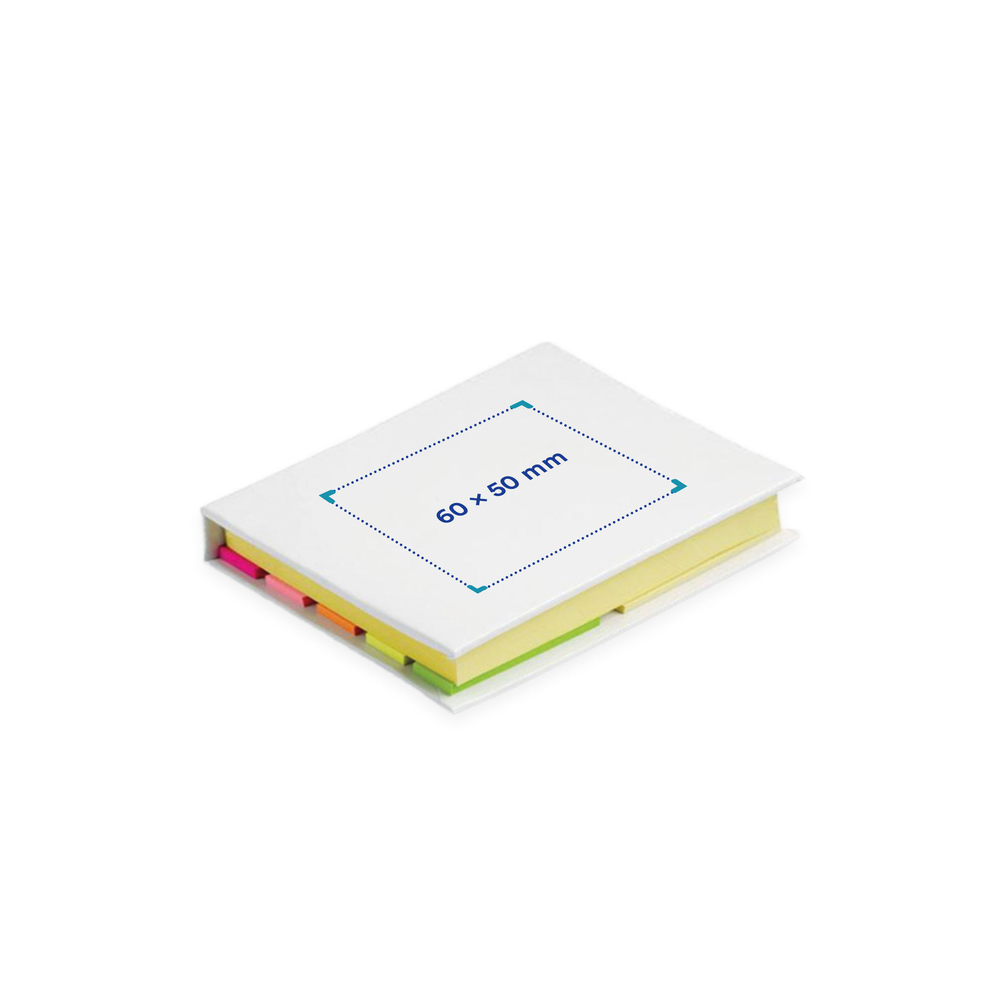 Ensemble de blocs-notes | Grand et petit | Coloré vif | Certifié FSC