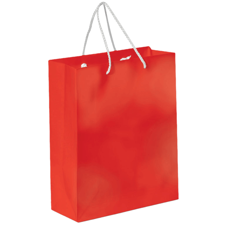Sac en papier brillant - A4 | 200 g/m² | Résistant à l'eau